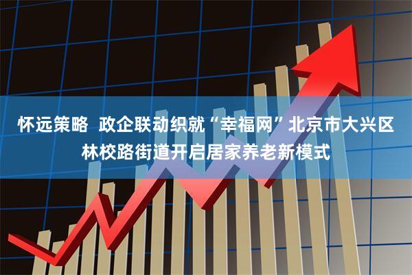 怀远策略  政企联动织就“幸福网”北京市大兴区林校路街道开启居家养老新模式