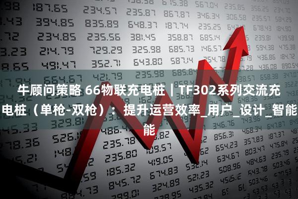 牛顾问策略 66物联充电桩|TF302系列交流充电桩(单枪-双枪):提升运营效率_用户_设计_智能