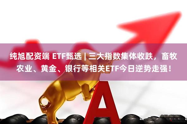 纯旭配资端 ETF甄选 | 三大指数集体收跌,畜牧农业、黄金、银行等相关ETF今日逆势走强!