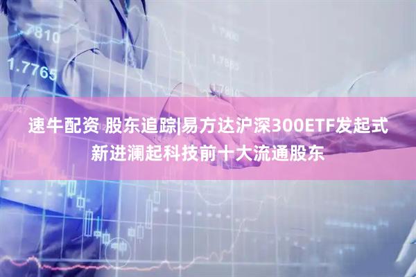 速牛配资 股东追踪|易方达沪深300ETF发起式新进澜起科技前十大流通股东